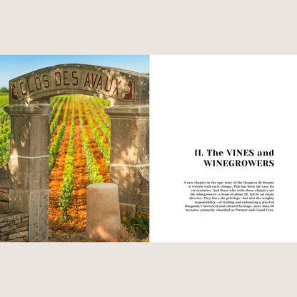 The Estate of the Hospices de Beaune: Exceptionnal wines, vines and winegrowers