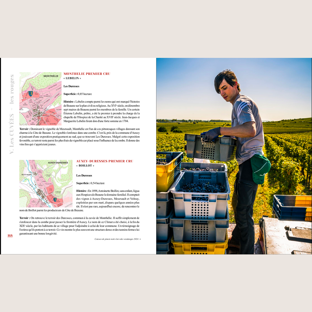 Le Domaine des Hospices de Beaune: Vins, Vignes et Vignerons d'exception