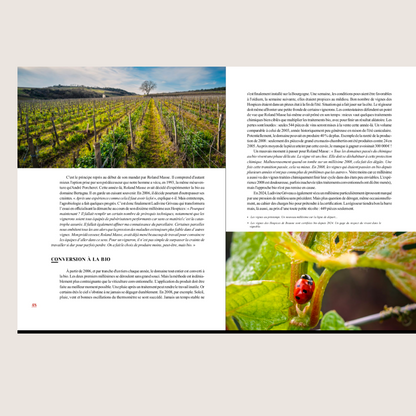 Le Domaine des Hospices de Beaune: Vins, Vignes et Vignerons d'exception