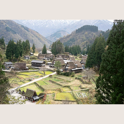 SAKE: The Art and Craft of Japan's National Drink