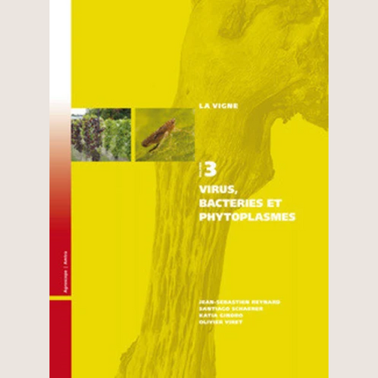 The Vine Volume 3: Viruses, Bacteria and Phytoplasmas