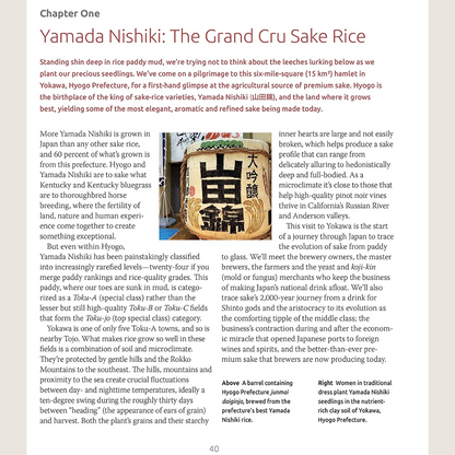 Exploring the World of Japanese Craft Sake: Rice, Water, Earth