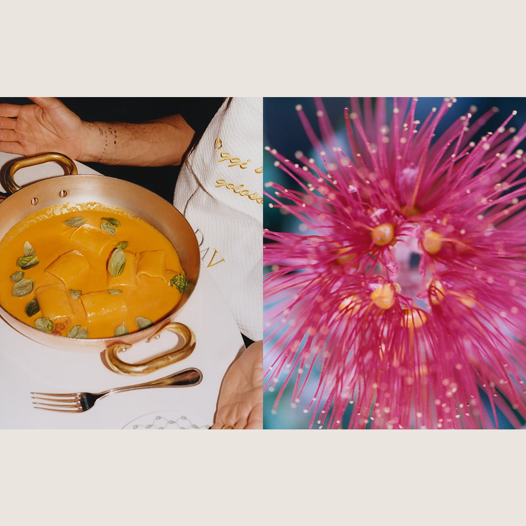 LIGURIA: Recipes & Wanderings Along the Italian Riviera