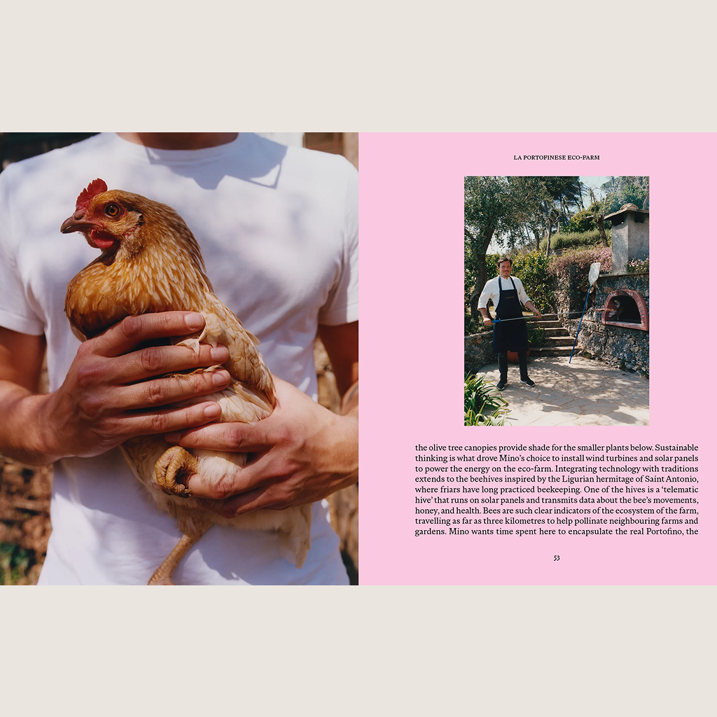 LIGURIA: Recipes & Wanderings Along the Italian Riviera