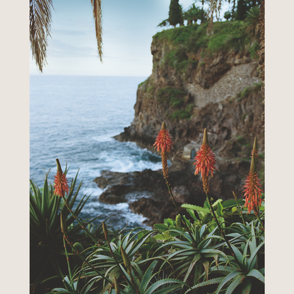 Madeira: Recipes & Wanderings on the Atlantic Island of Eternal Spring