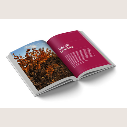 Taille et conduite de la vigne