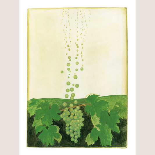 Bulles de champagne