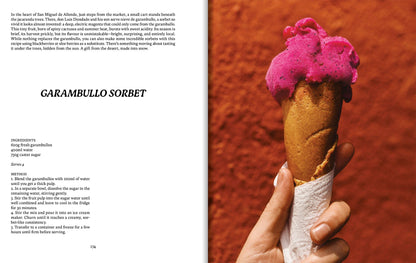 El Bajío: Recipes & Wanderings Through Mexico’s Heartland