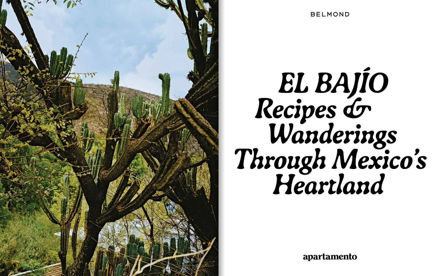 El Bajío: Recipes & Wanderings Through Mexico’s Heartland