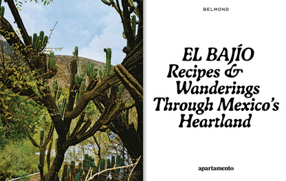 El Bajío: Recipes & Wanderings Through Mexico’s Heartland