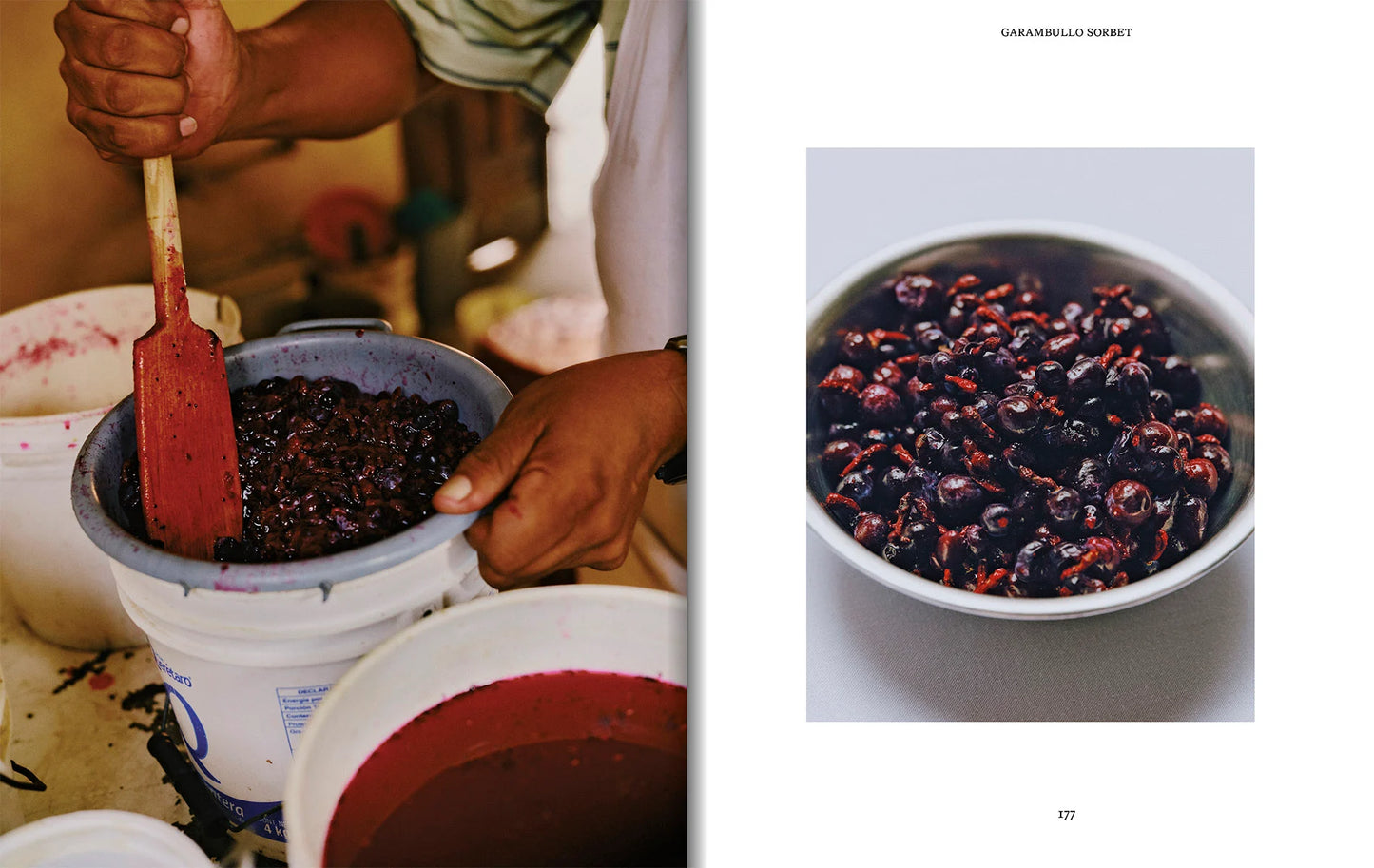 El Bajío: Recipes & Wanderings Through Mexico’s Heartland