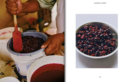 El Bajío: Recipes & Wanderings Through Mexico’s Heartland