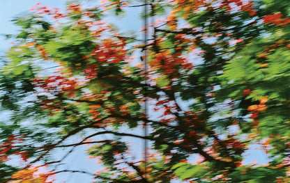 El Bajío: Recipes & Wanderings Through Mexico’s Heartland