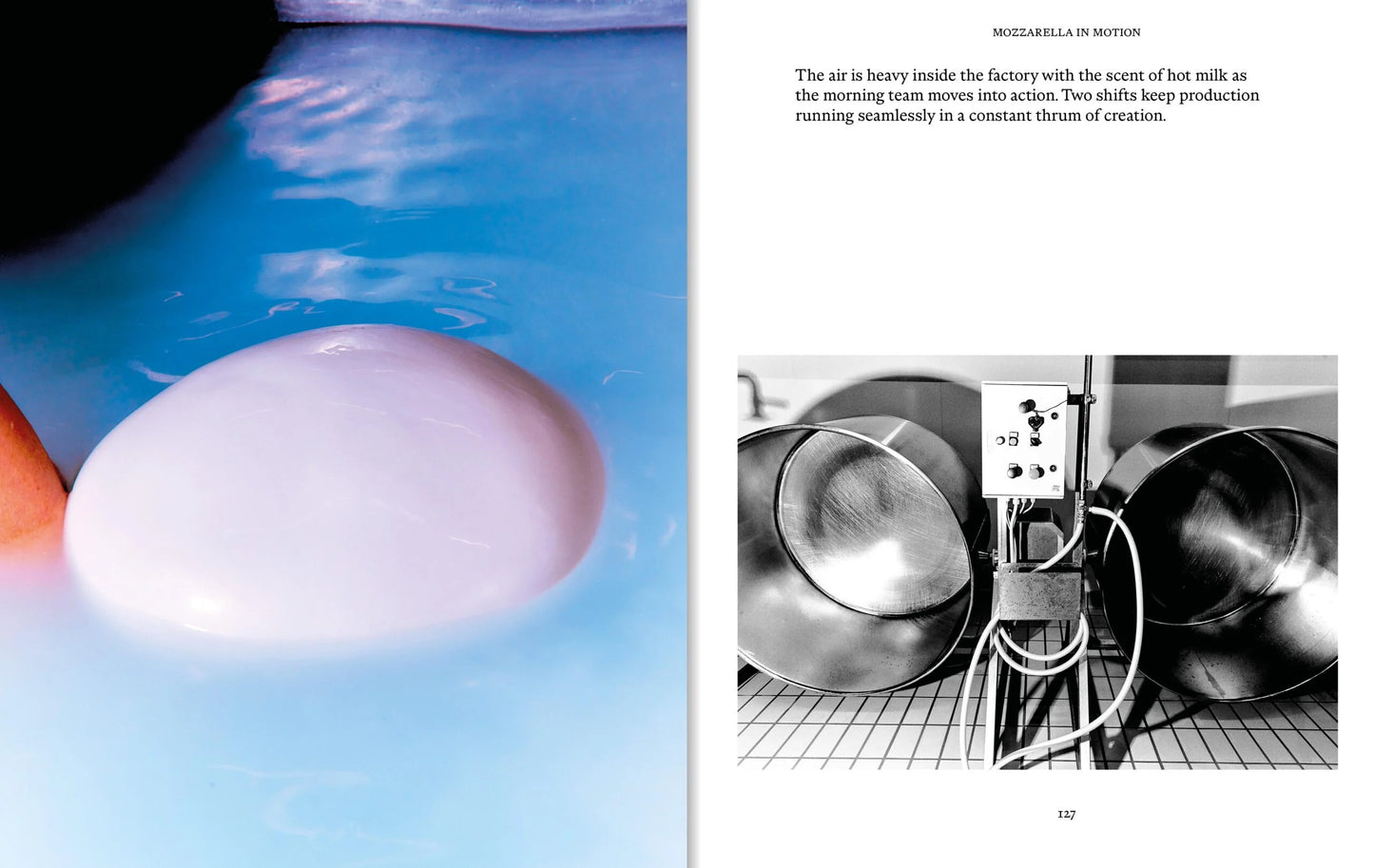 CAMPANIA: Recipes &amp; Wanderings Across Italy's Polychromatic Coast