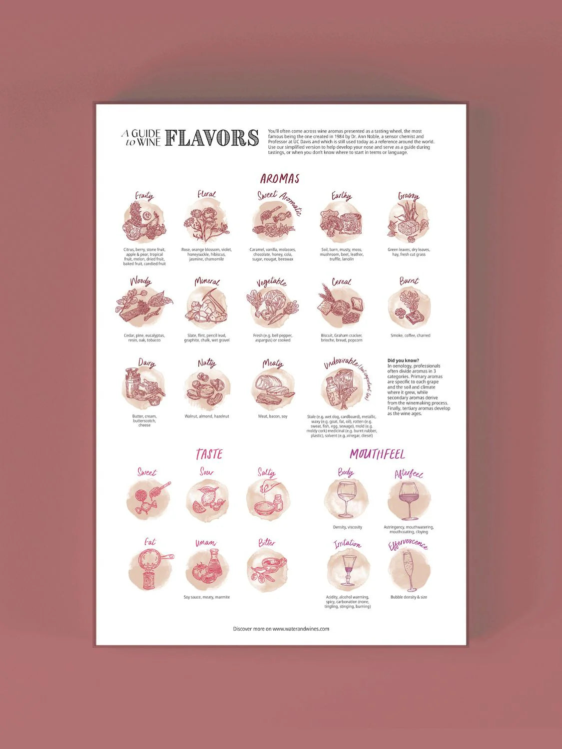 Wine Puzzle - Tableau périodique du vin