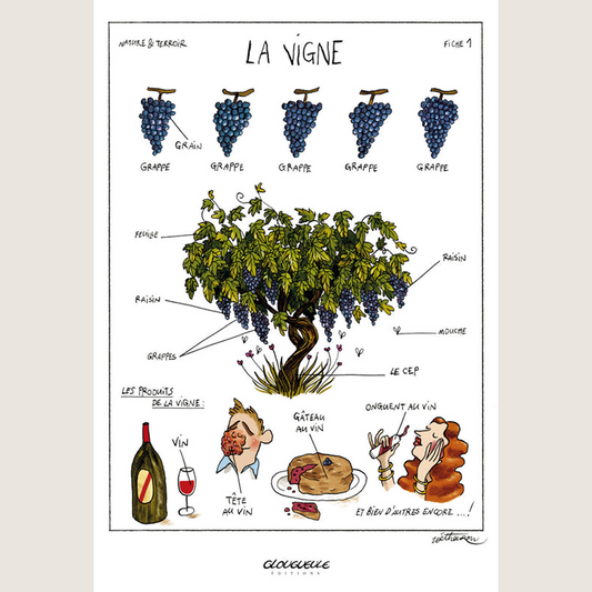 La Vigne