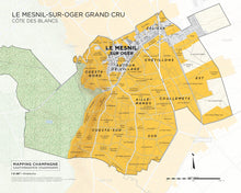 Load image into Gallery viewer, Le Mesnil sur Augers Grand Cru, Côte des Blancs

