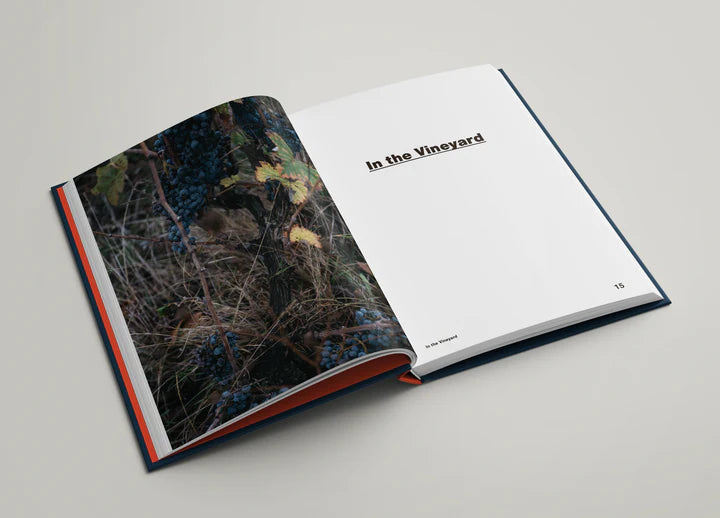 Natural Trailblazers: 13 Ways to Climate-Free Wine