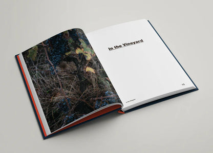 Natural Trailblazers: 13 Ways to Climate-Free Wine