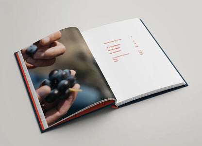 Natural Trailblazers: 13 Ways to Climate-Free Wine