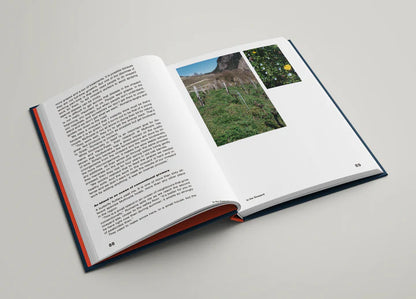 Natural Trailblazers: 13 Ways to Climate-Free Wine