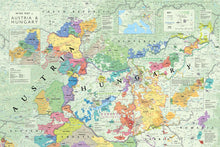 Load image into Gallery viewer, Wine map of Austria and Hungary, bookshelf edition
