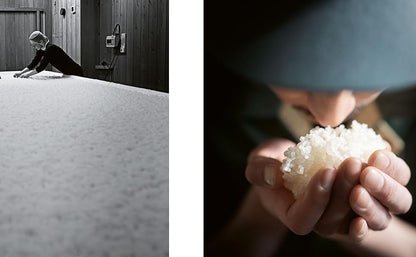 SAKE: The Art and Craft of Japan's National Drink