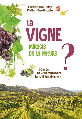 The vine, a miracle of nature? 