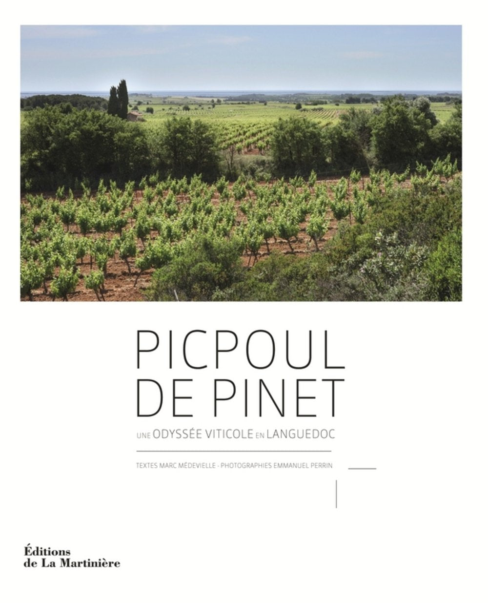 Picpoul de Pinet: une odyssée viticole en Languedoc