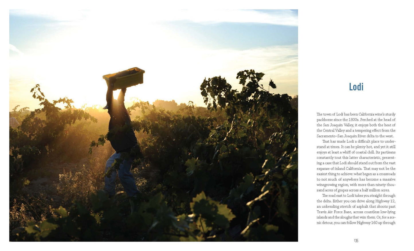 The New California Wine: A Guide to the Producers and Wines Behind a Revolution in Taste