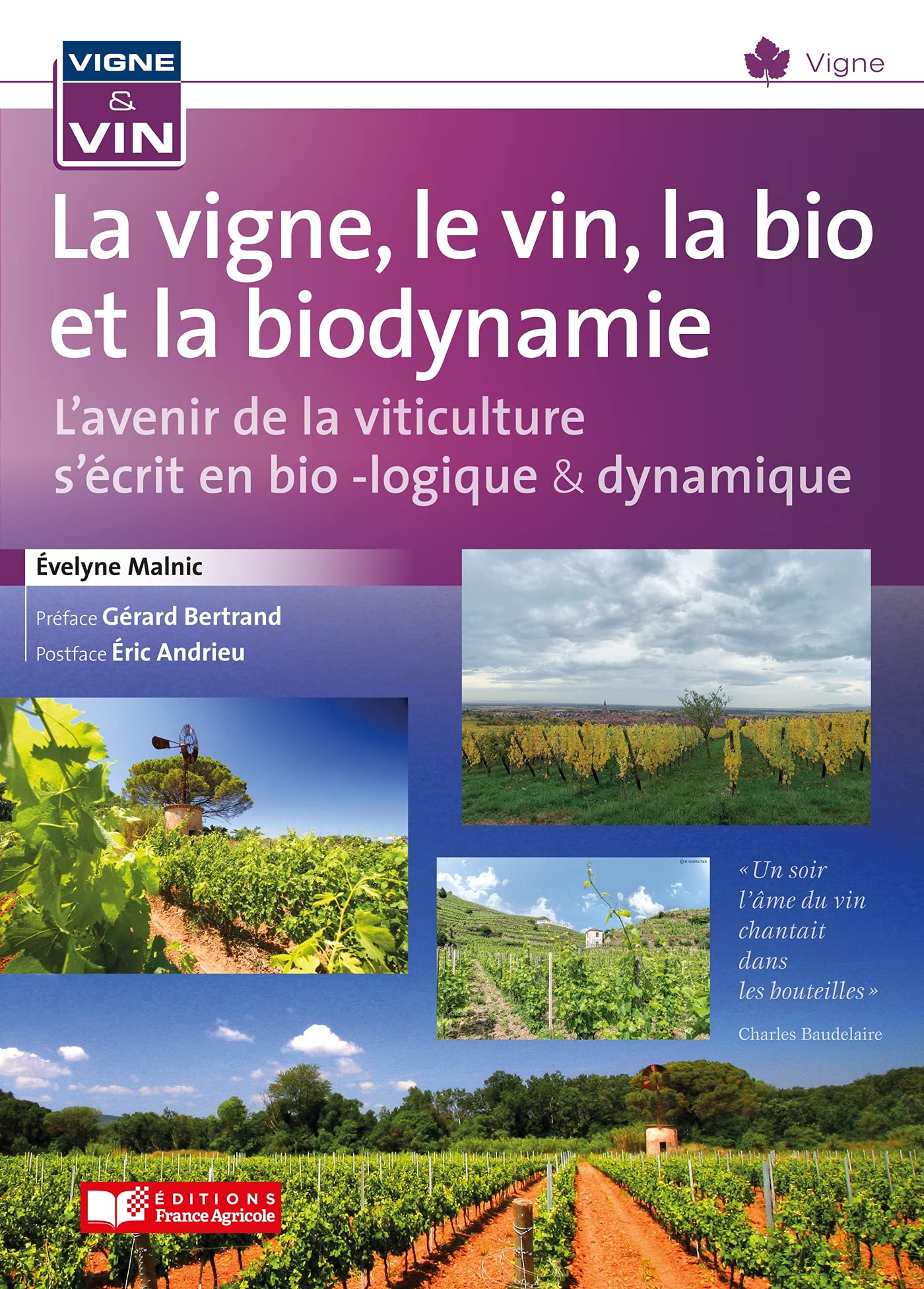 La vigne, le vin, la bio et la biodynamie: l'avenir de la viticulture