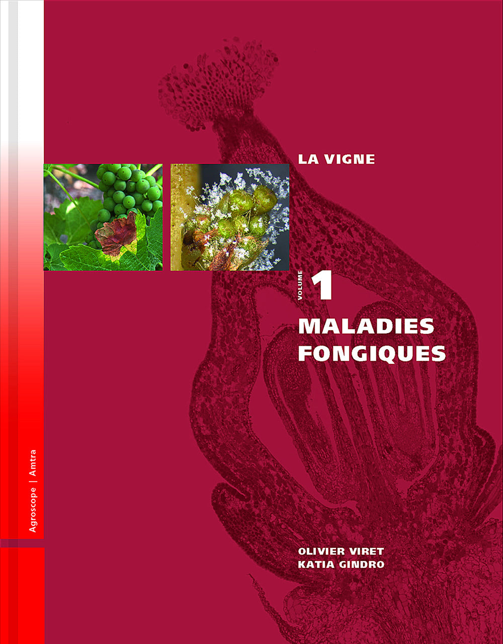 La vigne: Volume 1, Maladies fongiques