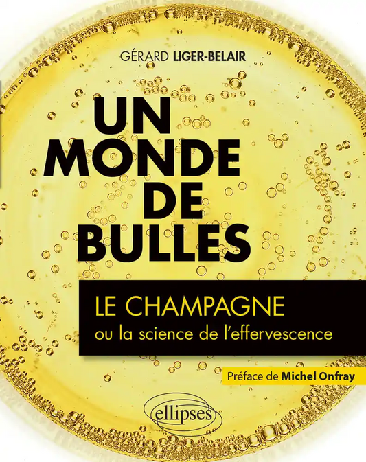 A world of bubbles: Champagne or the science of effervescence 